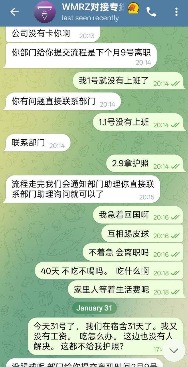 爆料柬埔寨西港,完美、好博、伽罗、诈骗杀猪盘